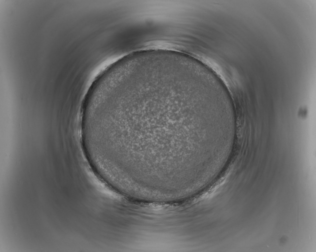 X0000097620987200803141958