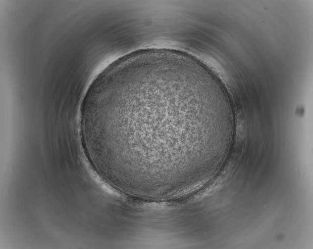X0000097620990200803141958