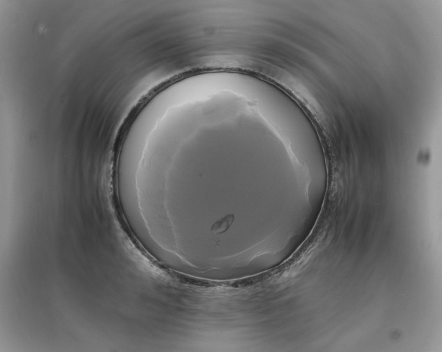 X0000097620992200803141958
