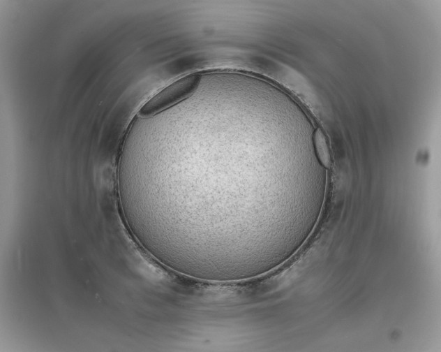 X0000097620993200803141958