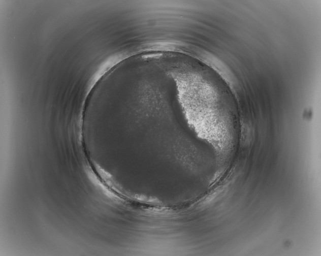 X0000097620994200803141958