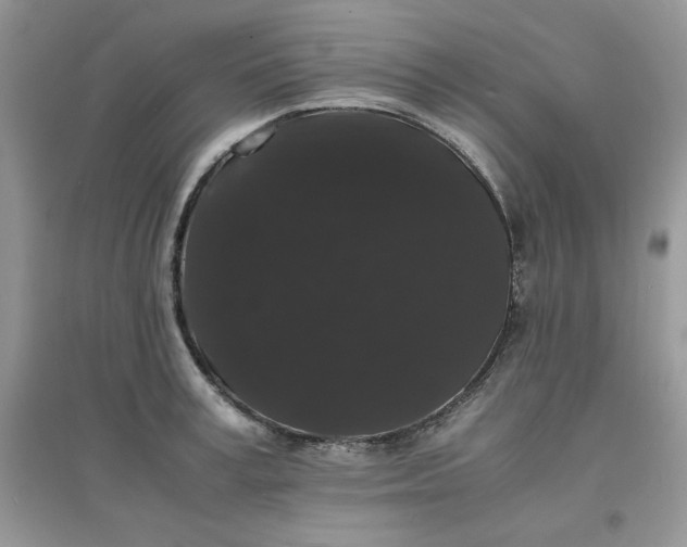 X0000097620995200803141958