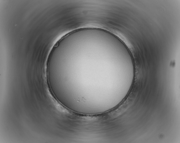 X0000097620996200803141958
