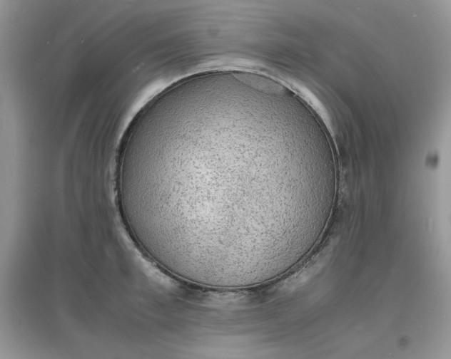 X0000097620997200803141958