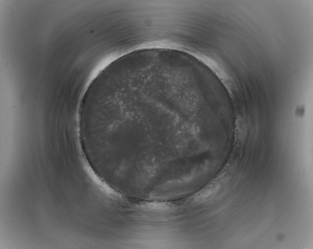 X0000097620998200803141958