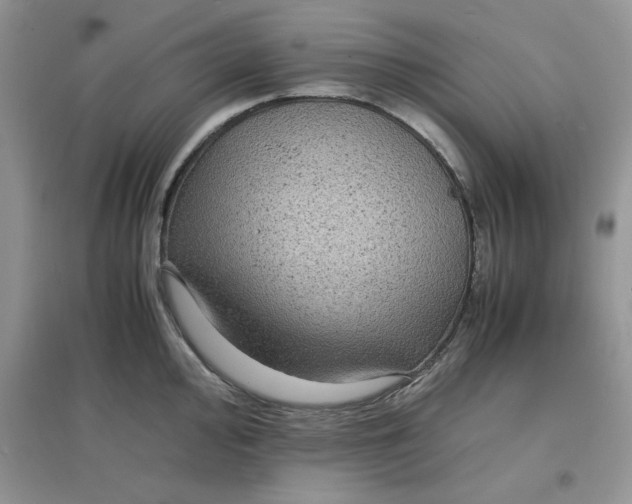 X0000097621000200803141958