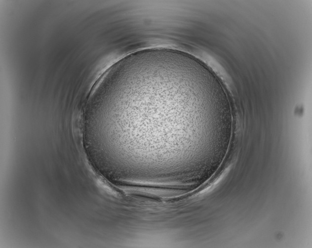 X0000097621001200803141958