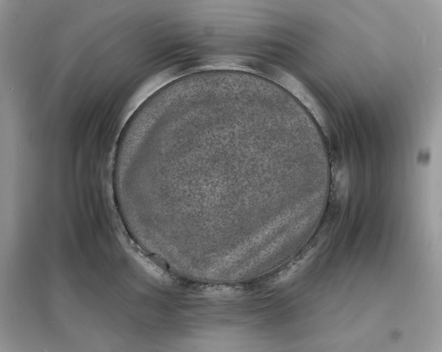 X0000097621002200803141958