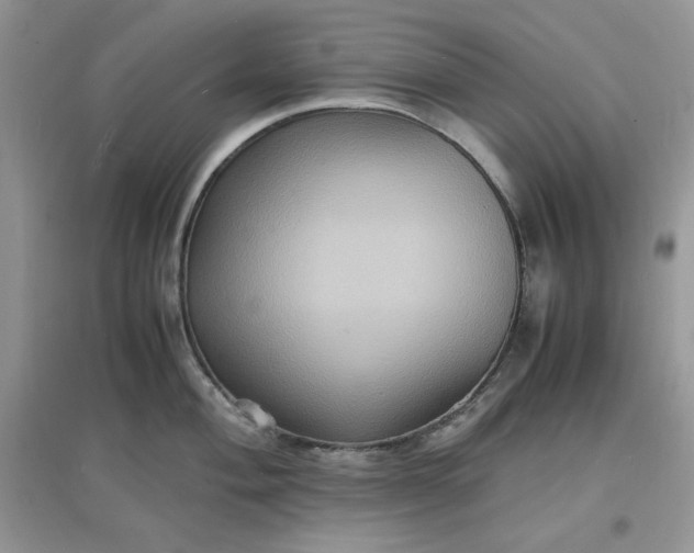 X0000097621004200803141958