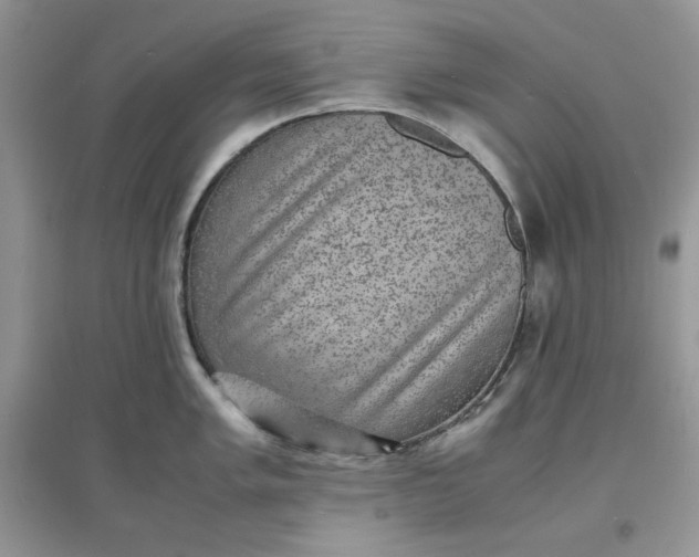 X0000097621005200803141958