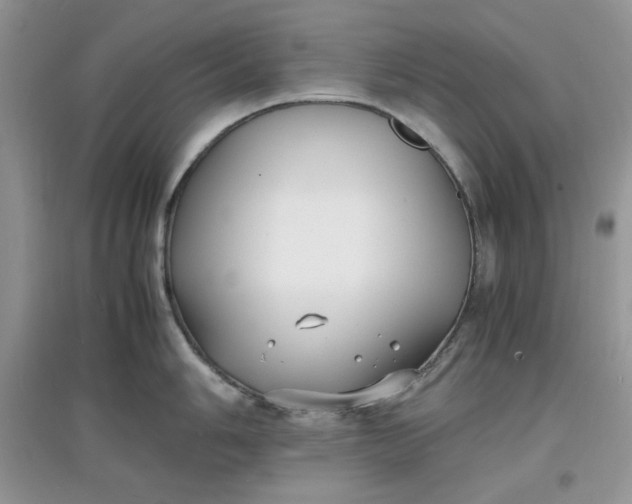 X0000097621006200803141958