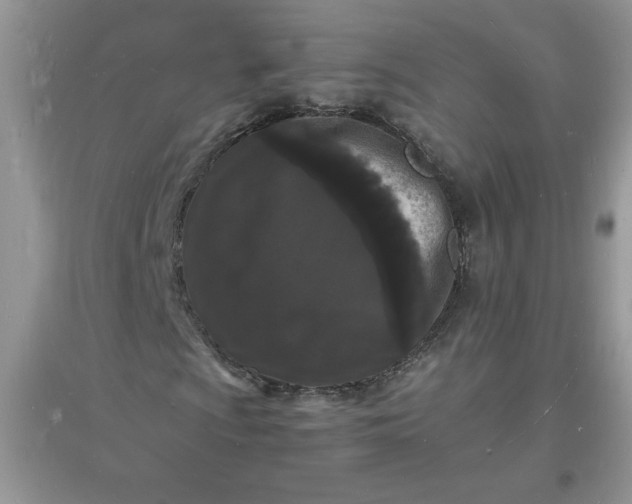 X0000097621009200803141957