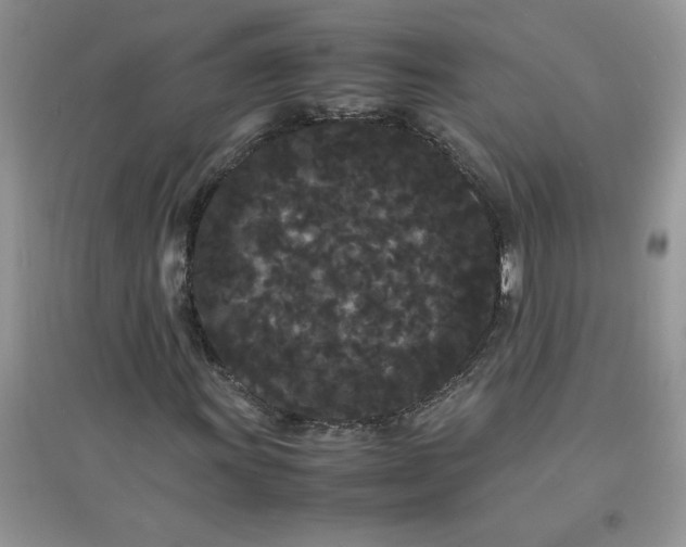 X0000097621011200803141957