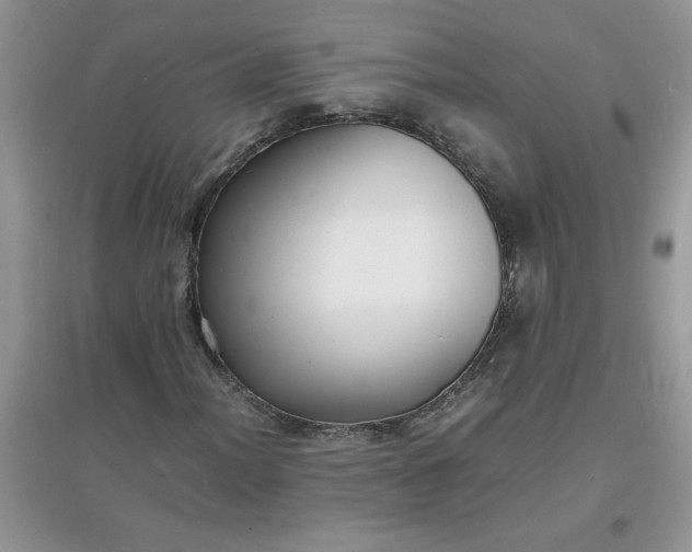 X0000097621012200803141957