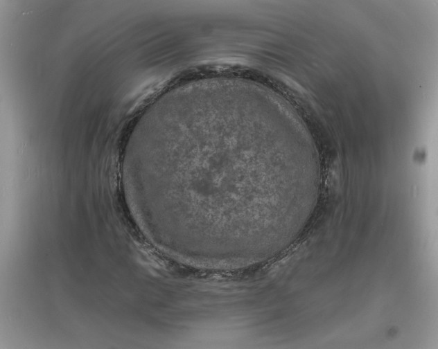 X0000097621014200803141957