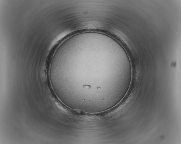 X0000097621018200803141957