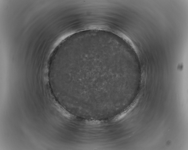 X0000097621019200803141957