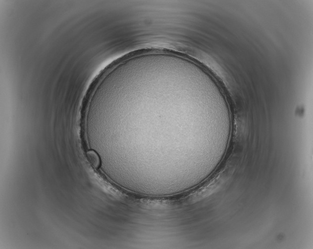 X0000097621020200803141957