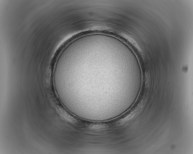 X0000097621021200803141957