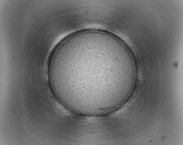 X0000097621022200803141957