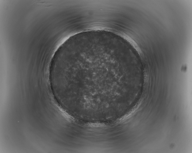 X0000097621023200803141957