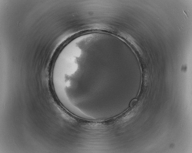 X0000097621024200803141957
