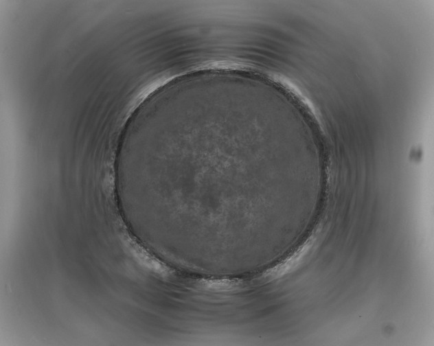 X0000097621025200803141957