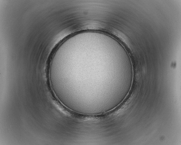 X0000097621026200803141957
