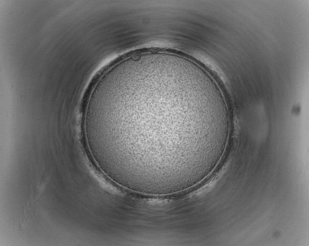 X0000097621029200803141957