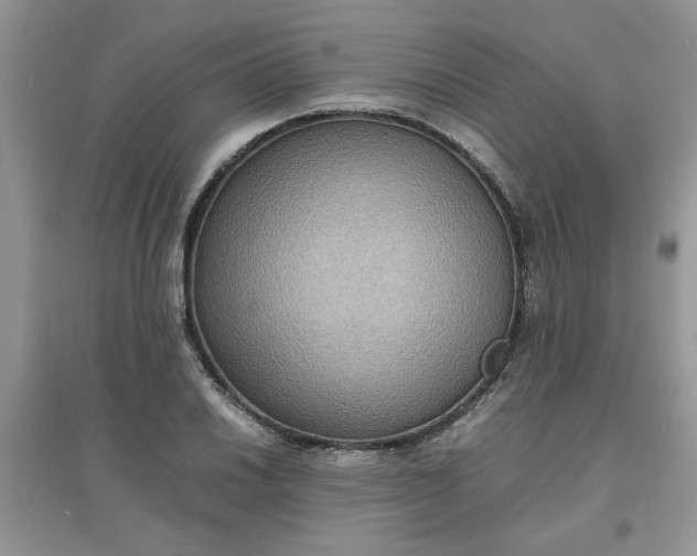 X0000097621030200803141957