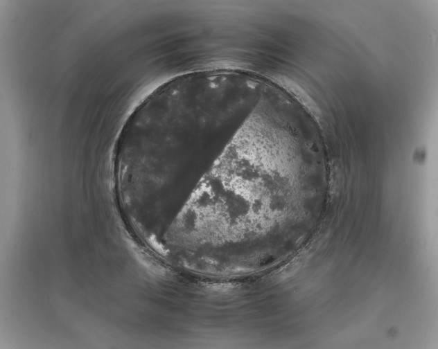 X0000097621031200803141957