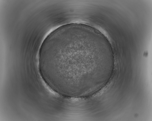 X0000097621032200803141957