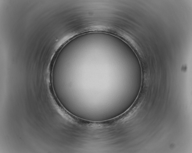 X0000097621034200803141957