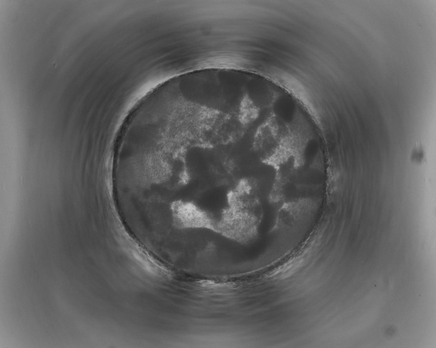 X0000097621035200803141957