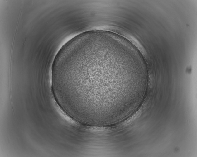 X0000097621036200803141957