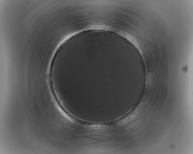 X0000097621037200803141957