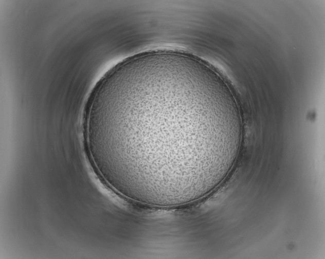 X0000097621038200803141957