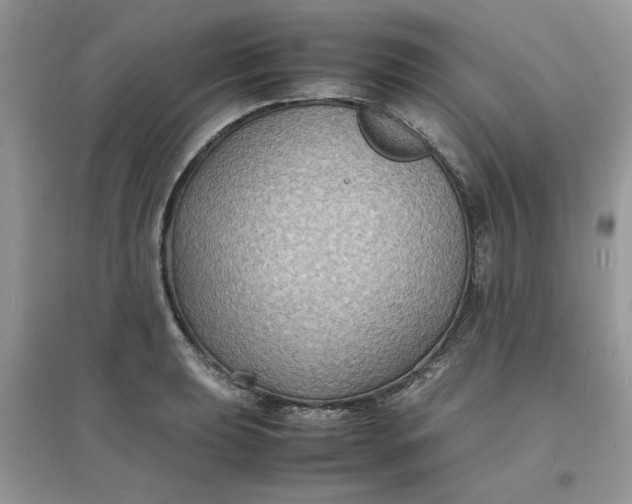 X0000097621039200803141957