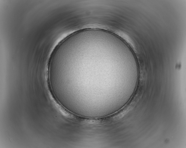 X0000097621040200803141957