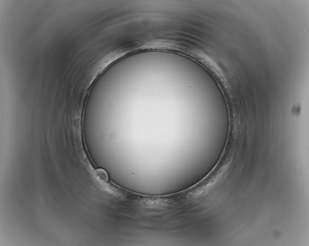 X0000097621041200803141958