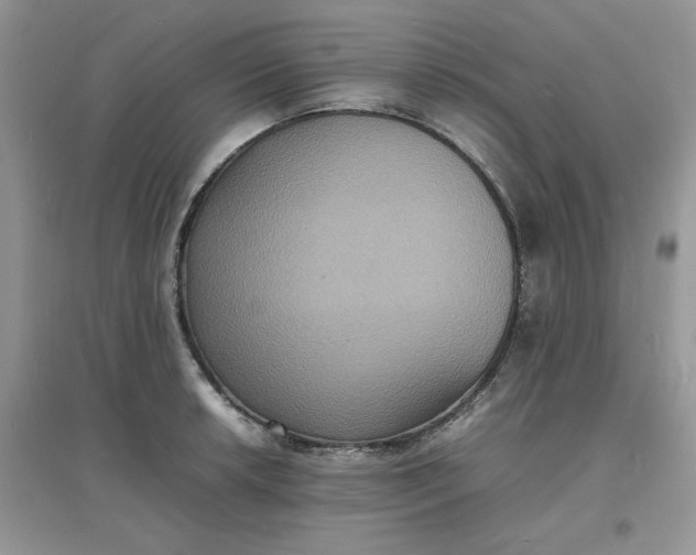 X0000097621042200803141958