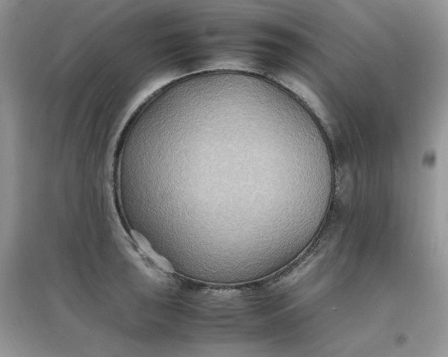 X0000097621043200803141958