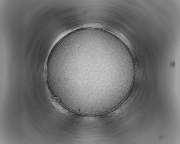 X0000097621044200803141958