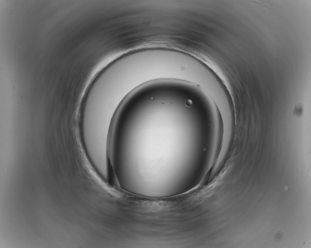 X0000097621045200803141958
