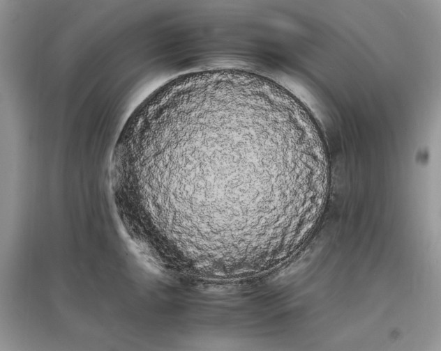 X0000097621047200803141958