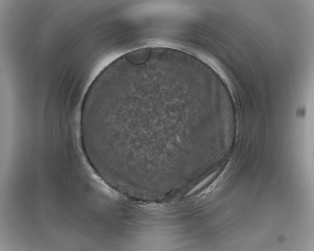 X0000097621048200803141958