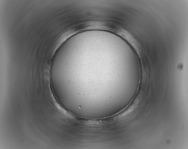 X0000097621049200803141958
