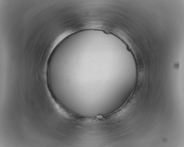 X0000097621050200803141958