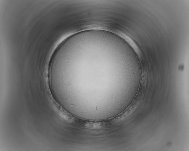 X0000097621051200803141958