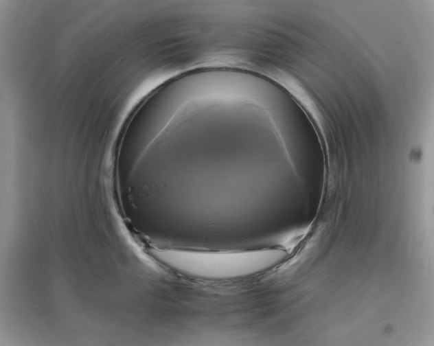 X0000097621053200803141958